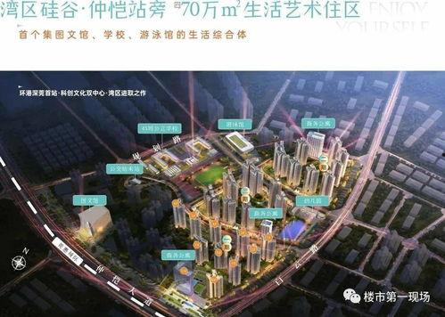 惠州楼盘爆料事件视频大全,揭露行业真相与购房者权益