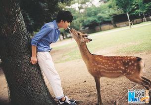 小鹿弟弟爆料了吗视频