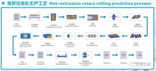 早安爆料大蘑菇视频大全,早安爆料带你探索奇妙菌类世界